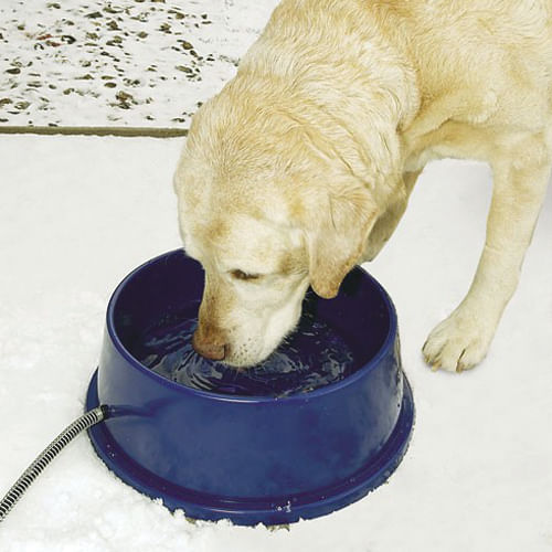 K&H Pet Products Thermal-Bowl Outdoor Heated Dog Bowl Blue 96 Ounces