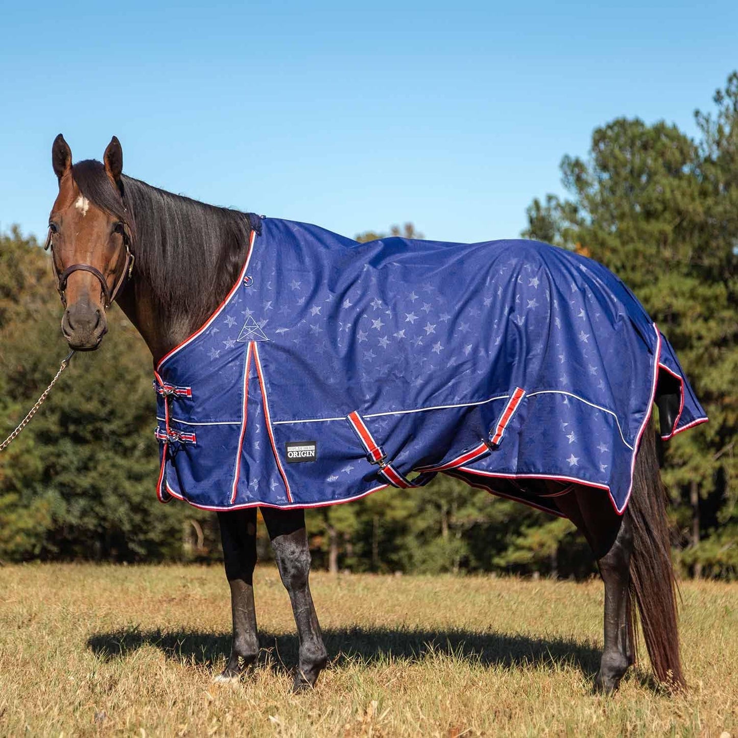 Poplar Head Origin 600 Denier Turnout Blanket, 240 Gram, Allegiance