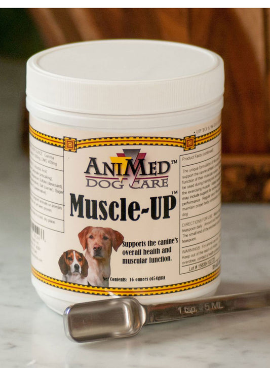 Animed Muscleup Powder (16oz)_LQ