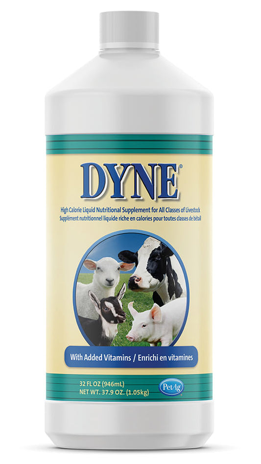 Dyne High Calorie/Weight Gainer Liquid for Livestock, 32 oz