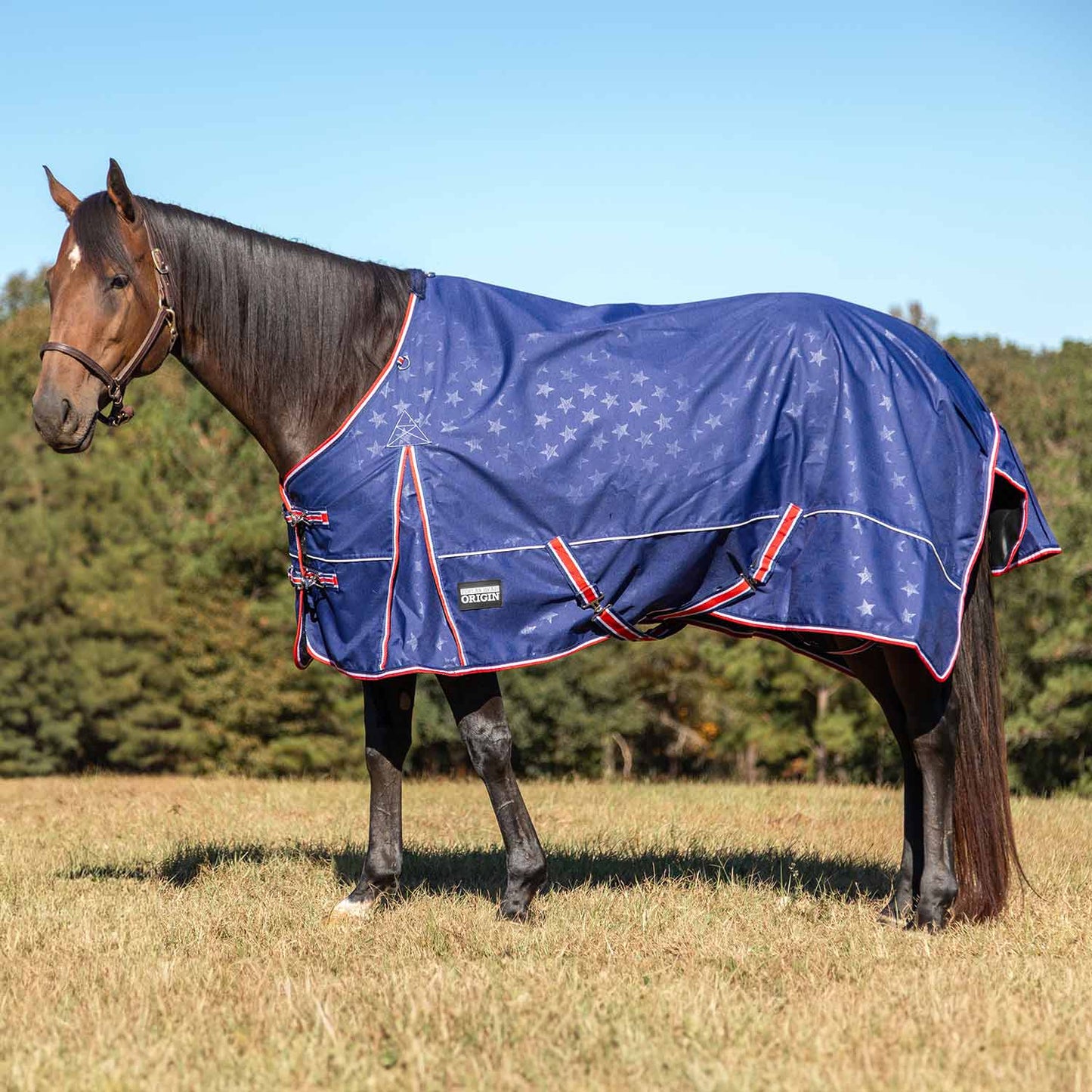 Poplar Head Origin 600 Denier Turnout Blanket, 240 Gram, Allegiance