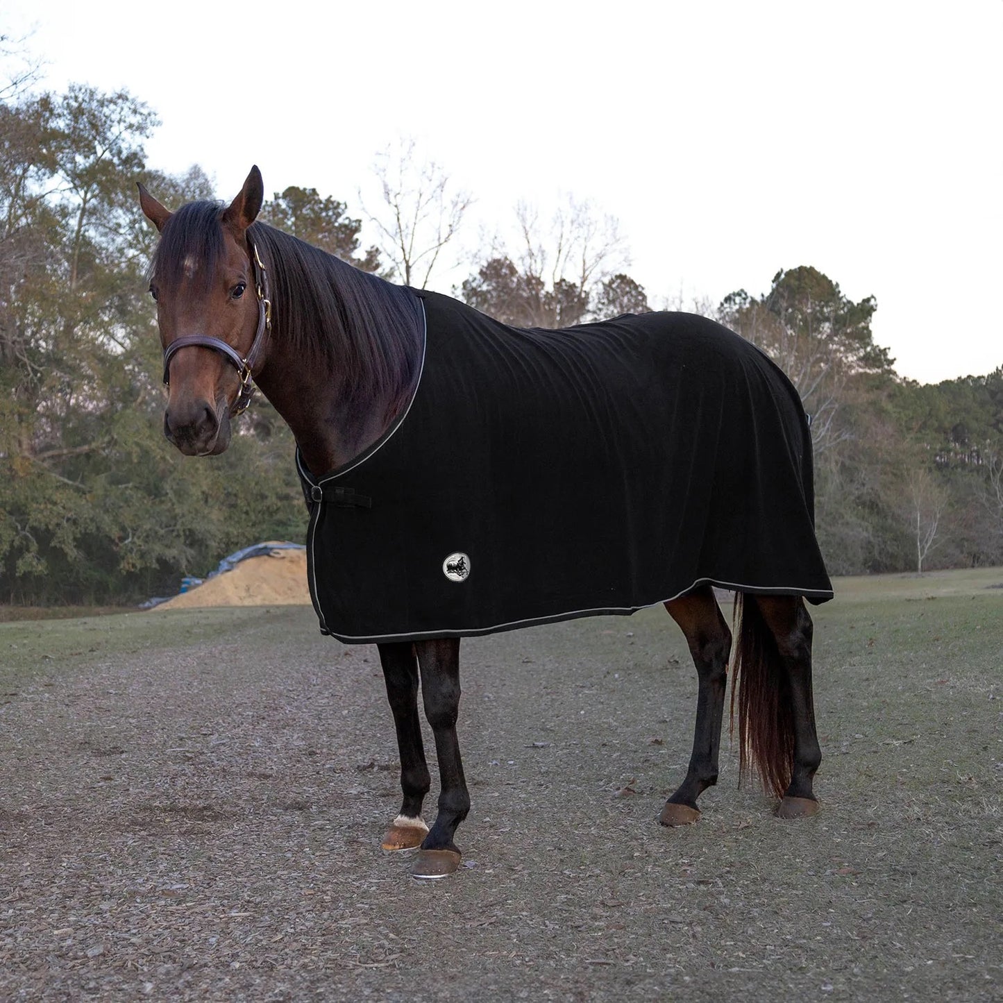 Jeffers Horse Fleece Cooler Blanket - Lightweight, Moisture-Wicking Western Blanket for Winter Warmth & Stable Use, Adjustable Fit, Durable & Easy-Care