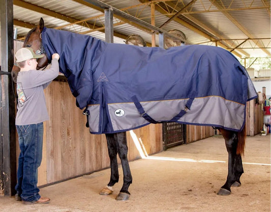 Jeffers Economy Plus Combo Neck Turnout Blanket | 1200 Denier, 240 g Fill Medium Weight Horse Blanket for All-Weather Protection | Navy/Gray