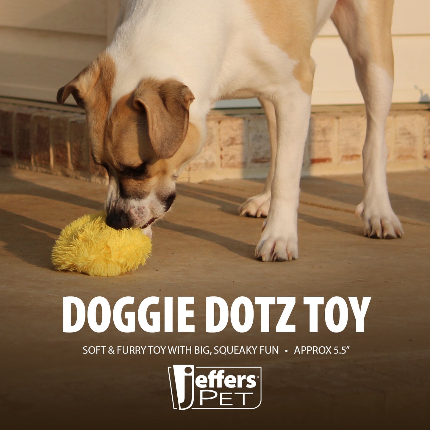 Jeffers Doggie Dotz Squeak Toy, 5.5" D