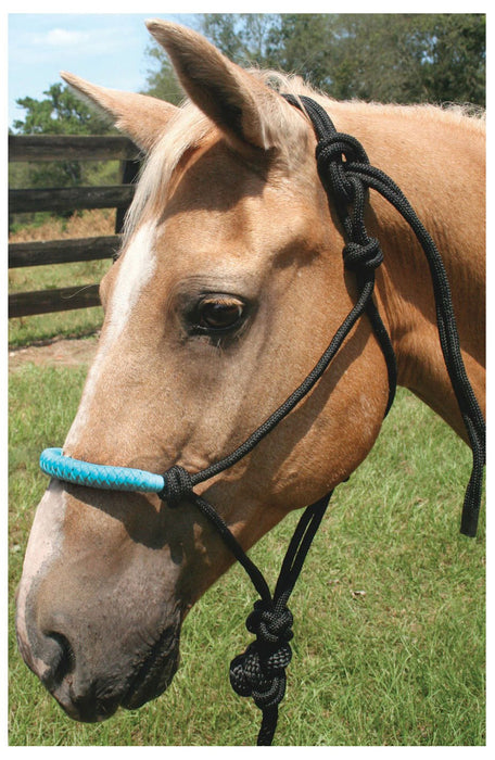 Jeffers Equine Solid Nose Poly Rope Halter with 7' – Durable 3/8" Braided Rope for Horses, Accessories, Adjustable Fit for Horses or Pony, Best for Training - Equestrian Tack