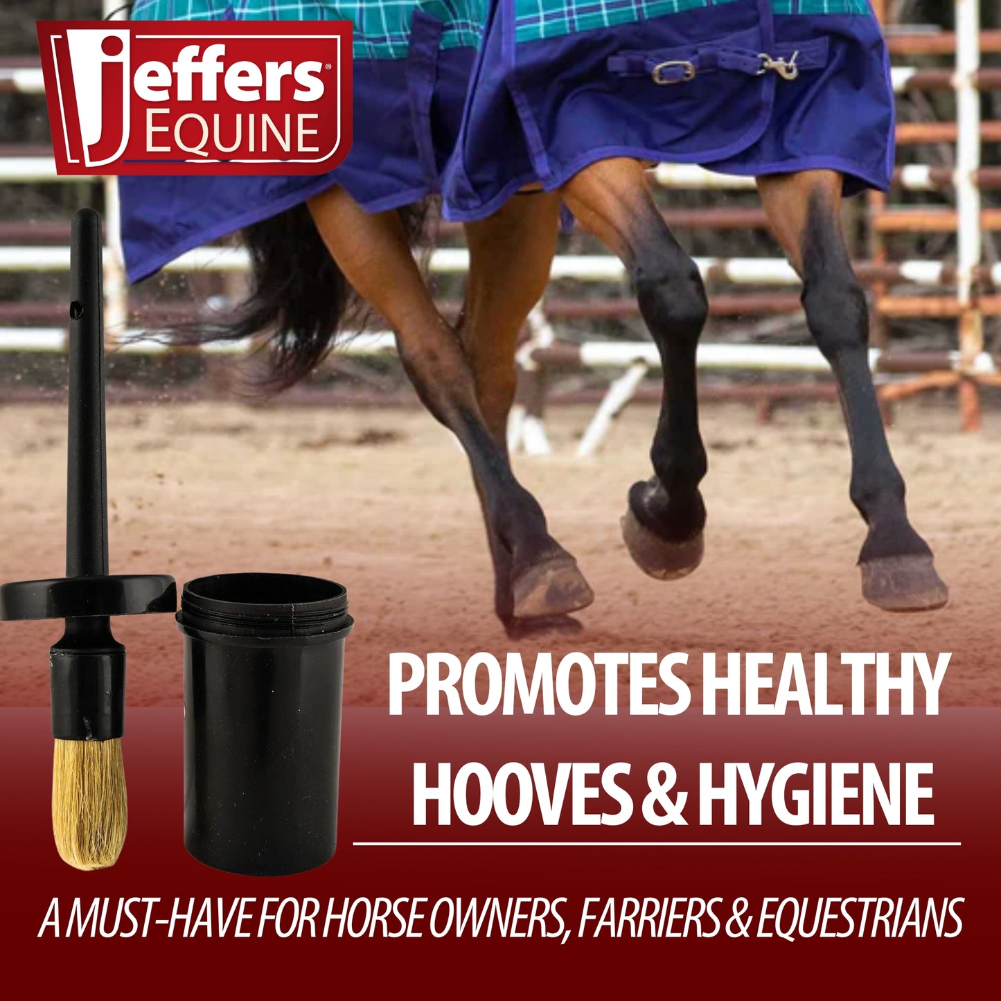 Jeffers Equine Hoof Dressing Brush with Dust Proof Plastic Container – 8" Long x 2.5" Wide, Mess-Free Applicator for Hoof Care, Farrier Grooming Tool for Horses, Equestrian, and Barn Use, Black