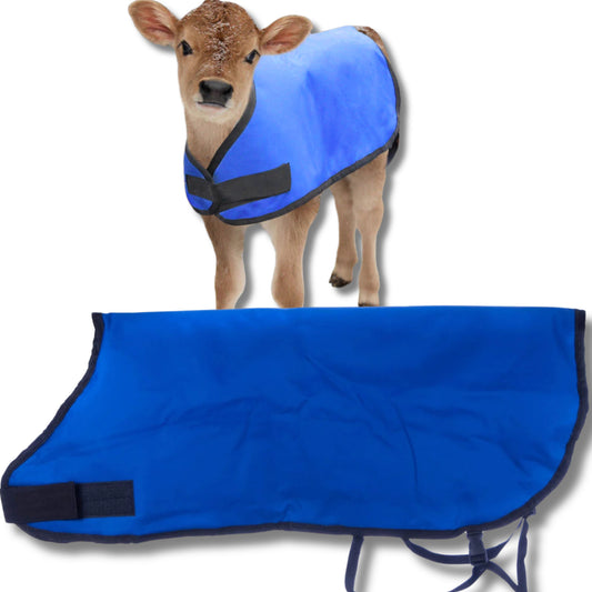 Jeffers Livestock Insulated Calf Blanket, Blue  - 200 grams of Polyfill, Winter Warm Clothes for Calf, Water Proof, Windproof Warming Blanket, Jacket, Coat - Thickened Belly Protection