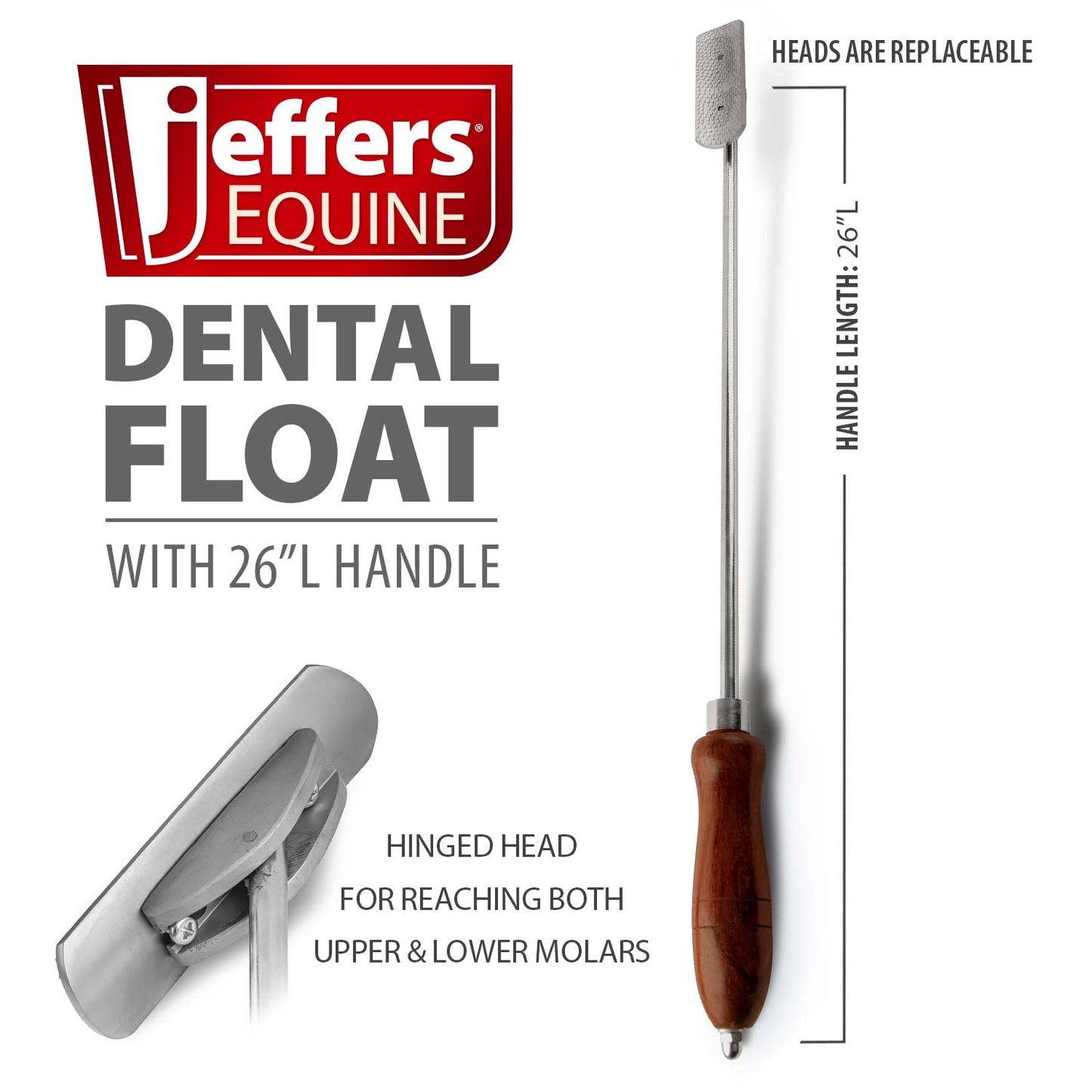 Jeffers Dental Float for Horses, 26" Handle