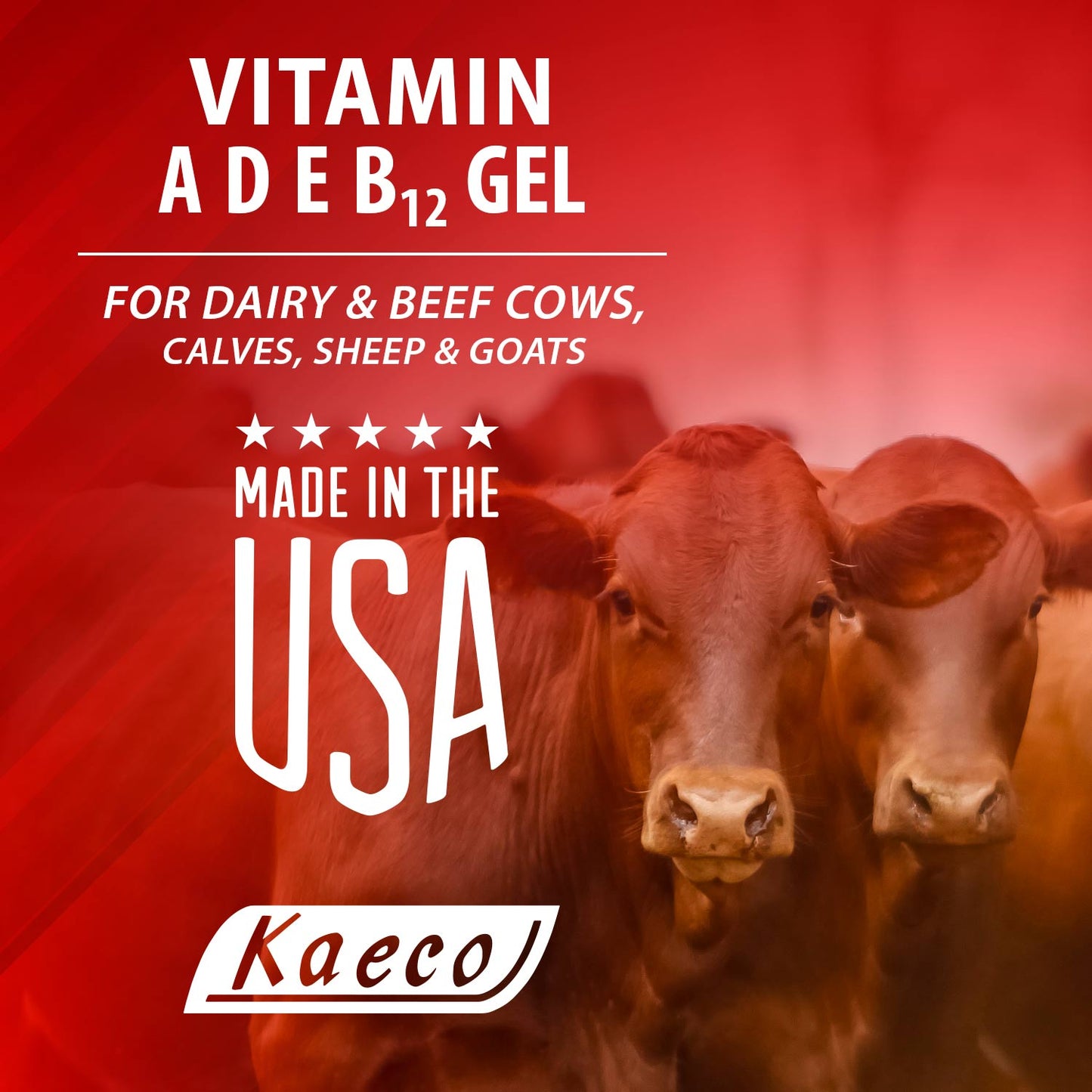 Kaeco Vitamin Ade B12 Oral Gel - 80 Ml