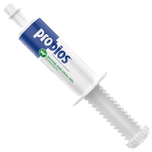 Probios Bovine One Oral Gel for Ruminants Tube, 60cc