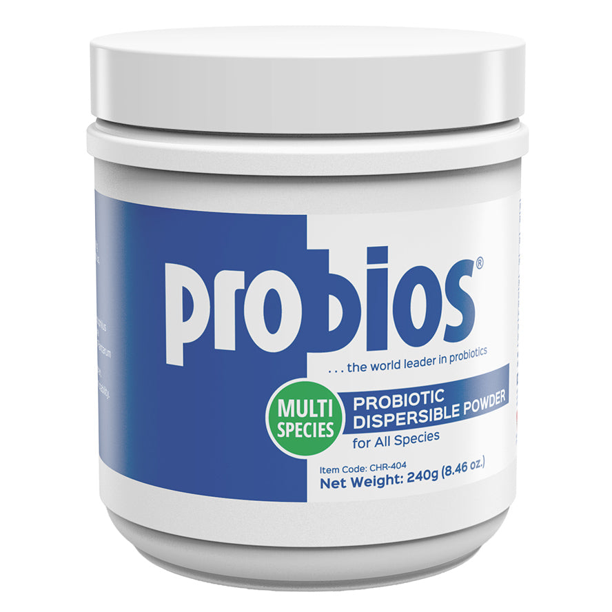 Probios Vet Plus Dispersible Digestive Powder, 240gm