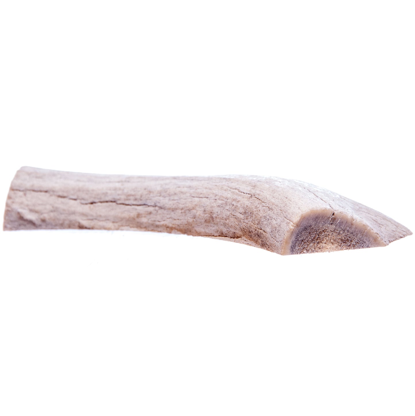 QT Dog 4-6" Antlerz Threw Split Pet Treat Bone, Large