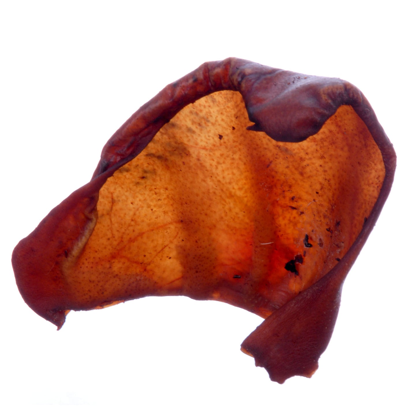 Jones Smoked Pig Ears, 3 ct