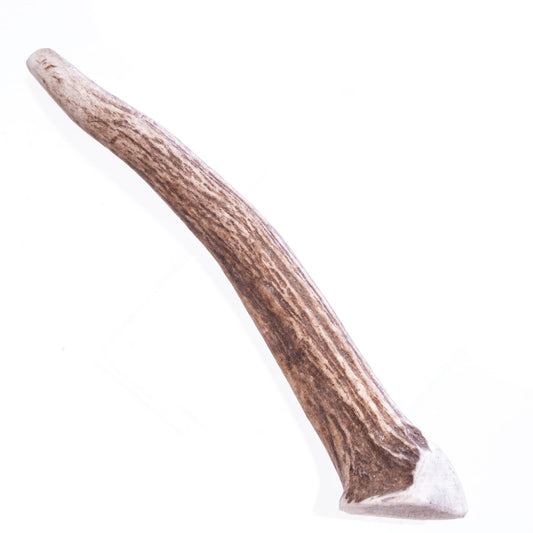 Big Sky Antler Chews - Medium 5-6"